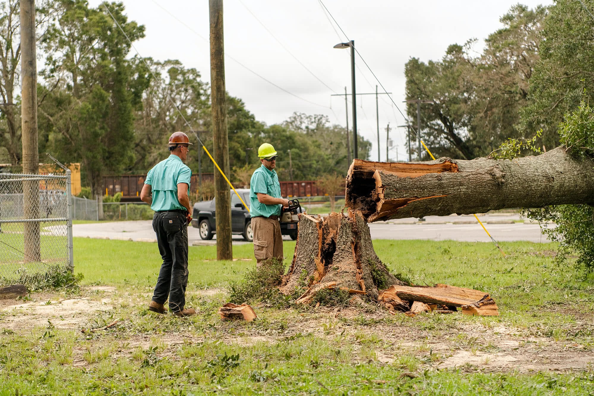 Grounds staff cut up fallen trees