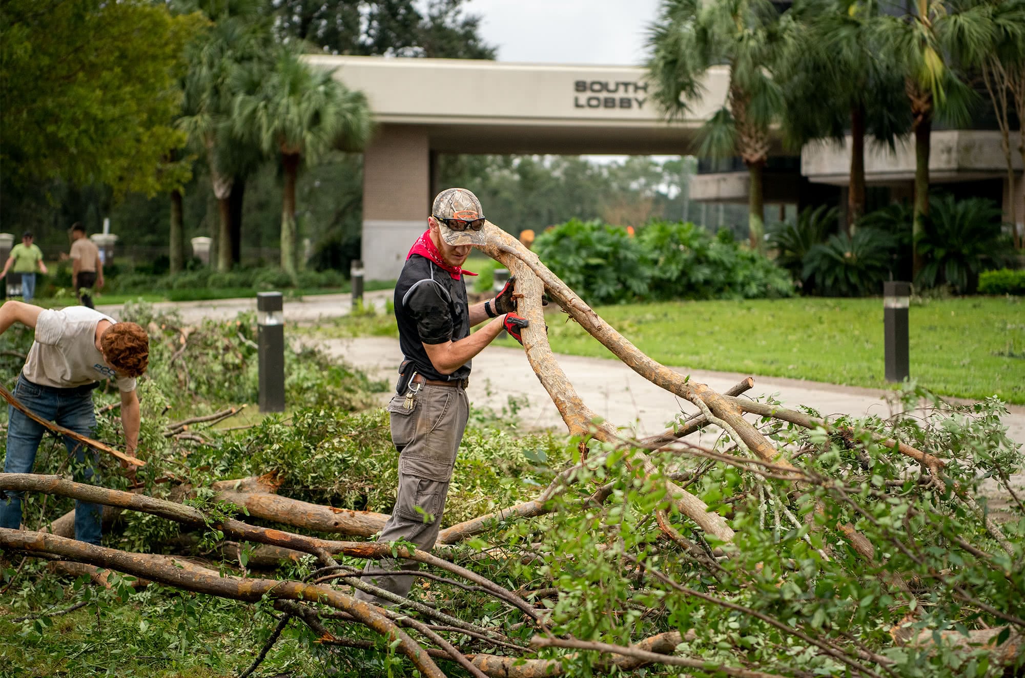 Grounds workers move tree limbs