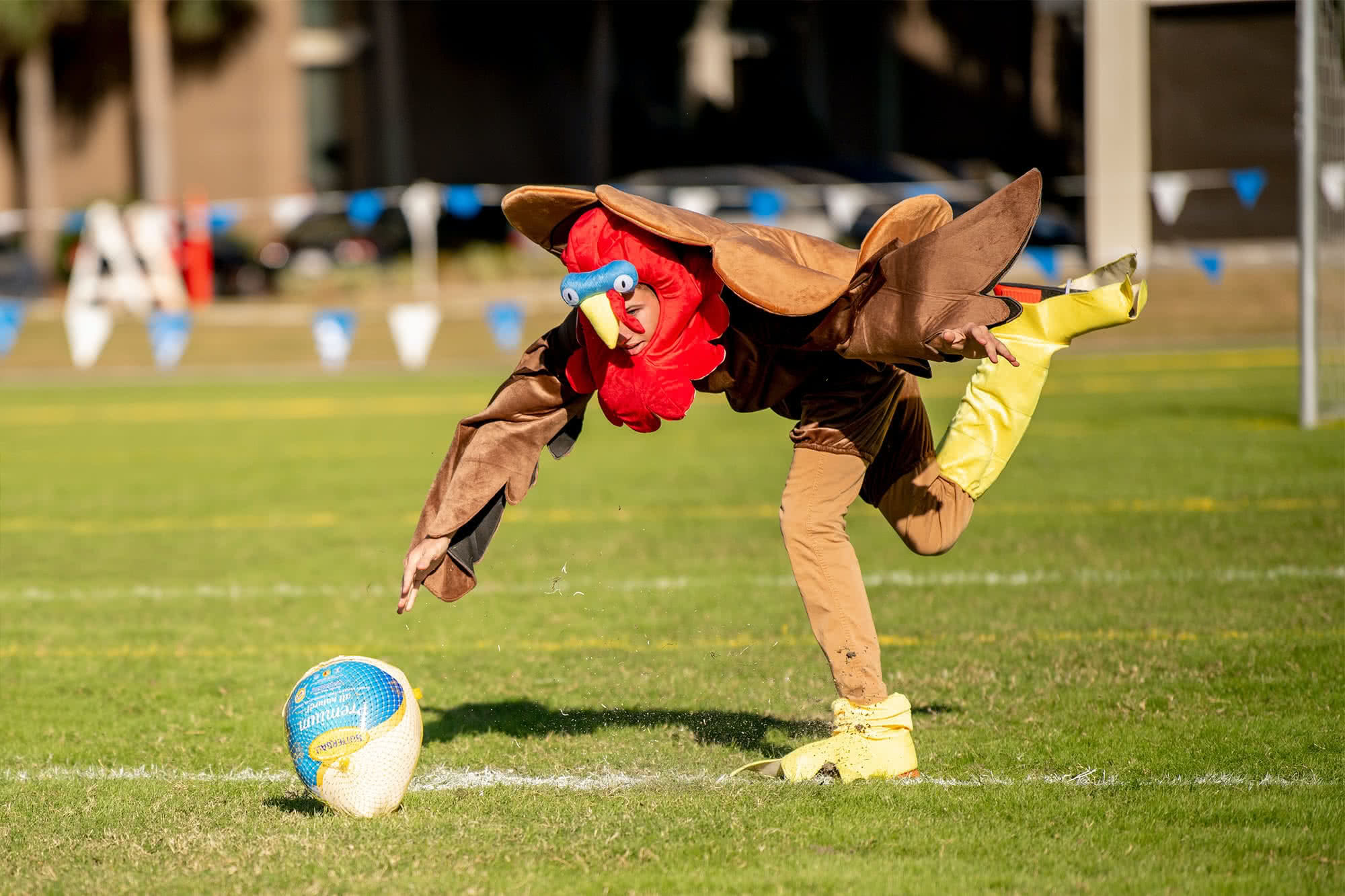 Student in a turkey costume reaching toward a turkey on the ground.