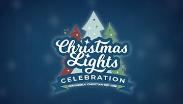 Christmas Lights Celebration