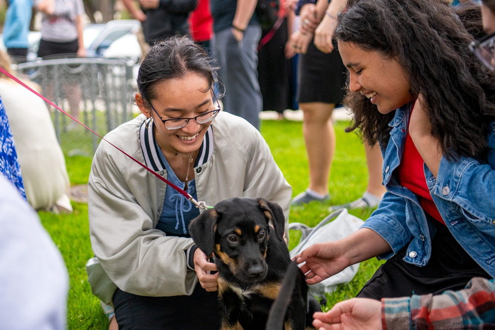 Puppies came to campus during Greek Week