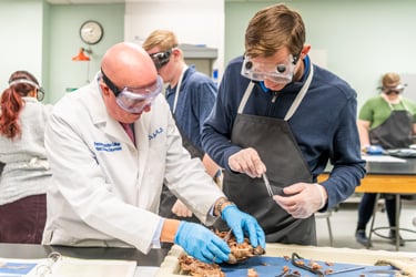 Dr. Grant De Jong helping a student in the Zoology lab